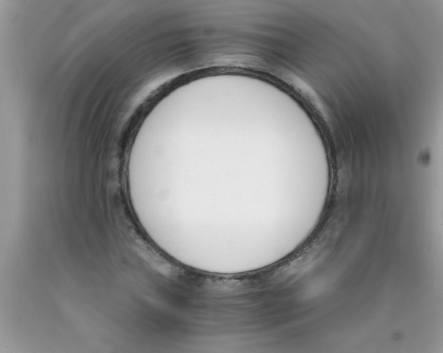 X0000089851019200707262103