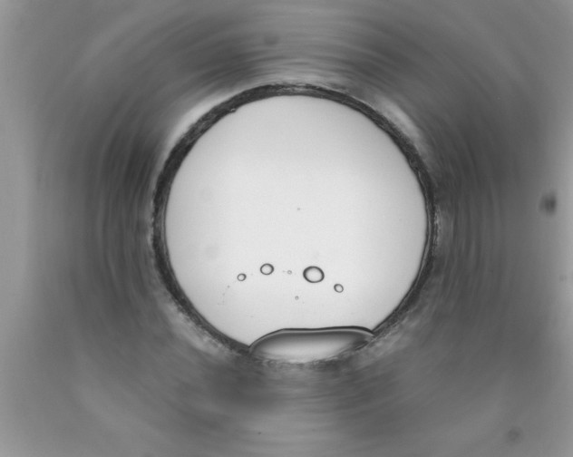 X0000089851020200707262103