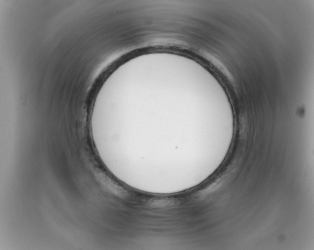 X0000089851021200707262103