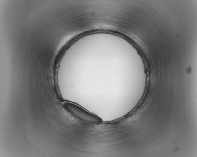 X0000089851022200707262103