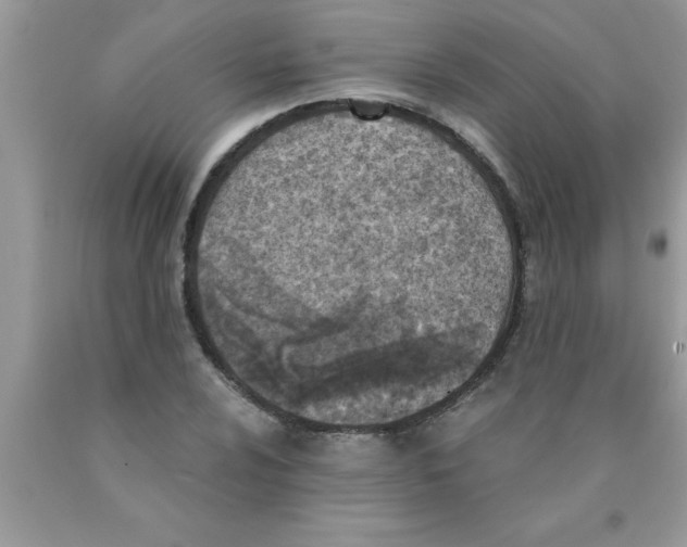 X0000089851024200707262103