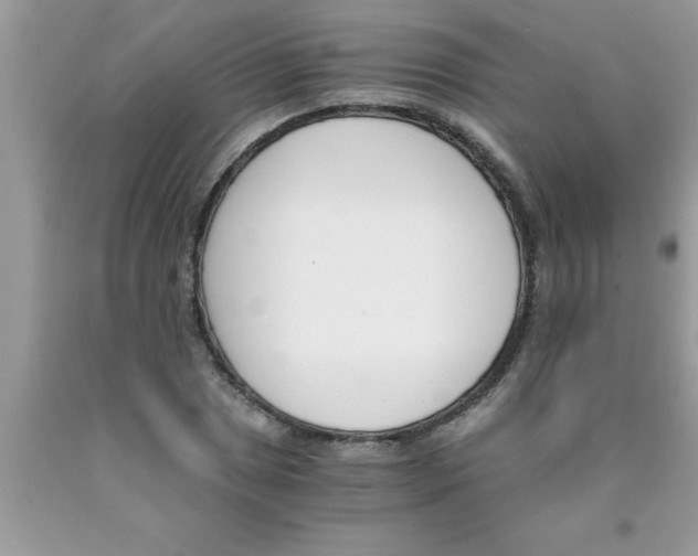 X0000089851025200707262103