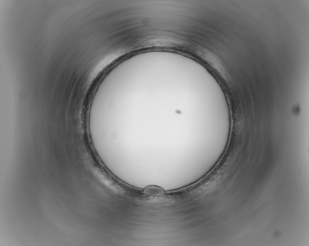 X0000089851026200707262103