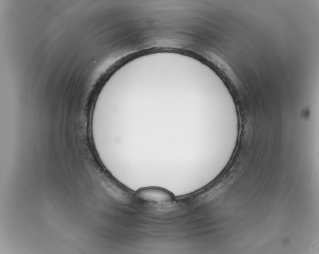 X0000089851027200707262103