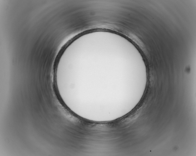 X0000089851028200707262103