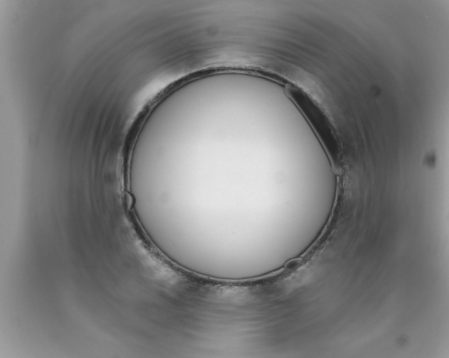 X0000089851030200707262103