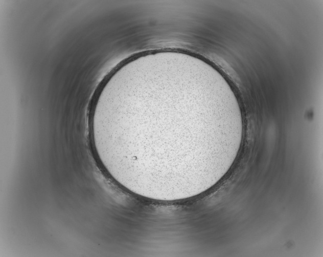 X0000089851031200707262103