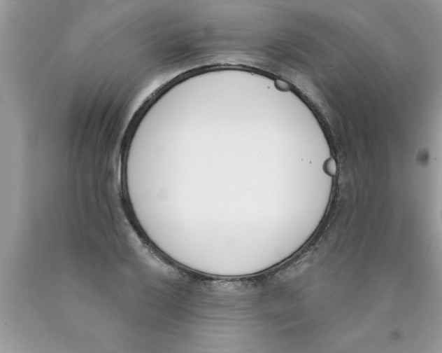 X0000089851032200707262103