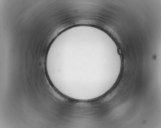 X0000089851033200707262103