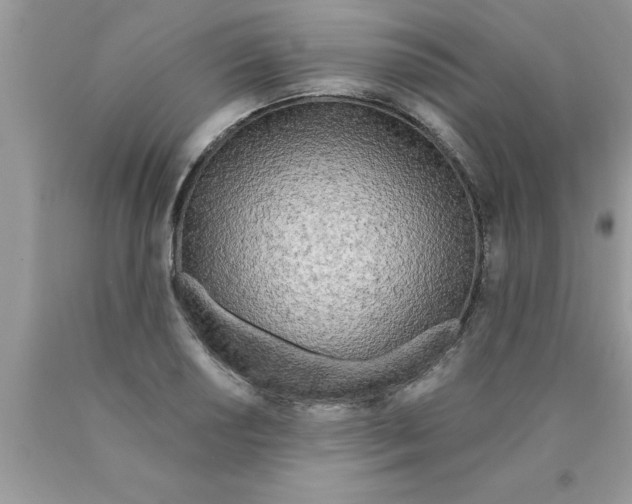 X0000089851034200707262103