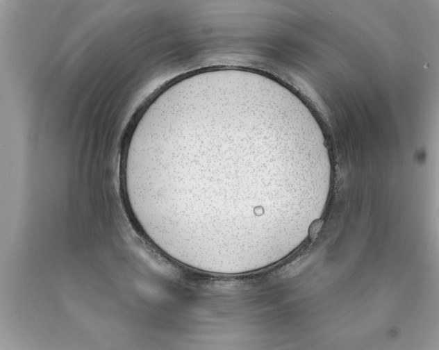 X0000089851035200707262103