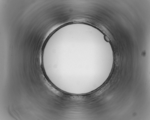 X0000089851036200707262103