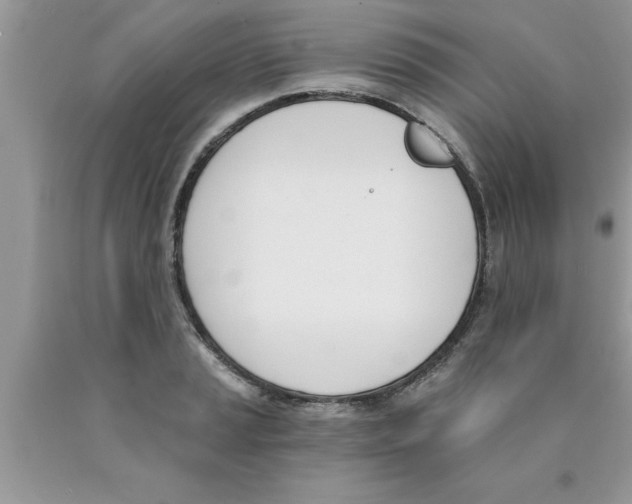 X0000089851037200707262103