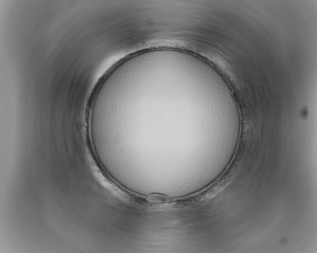 X0000089851038200707262103