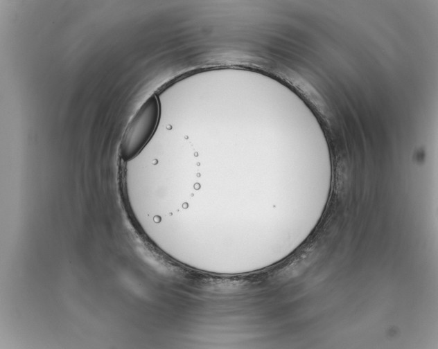 X0000089851039200707262103