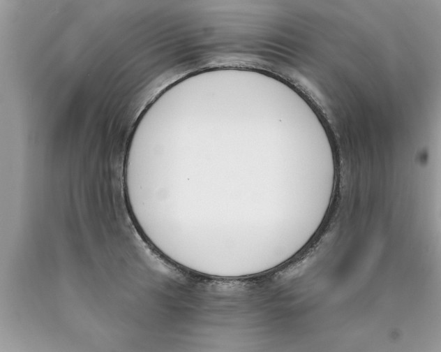 X0000089851041200707262103