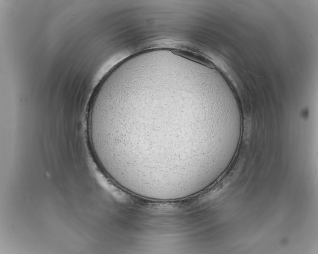 X0000089851042200707262103