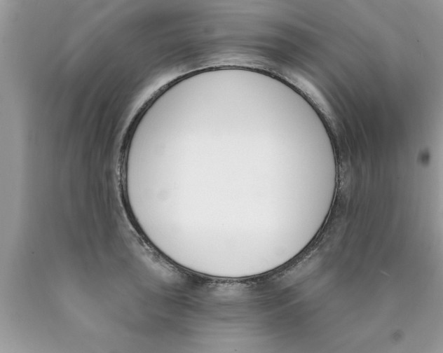 X0000089851043200707262103