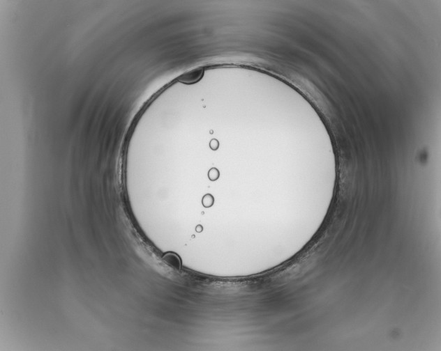 X0000089851044200707262103