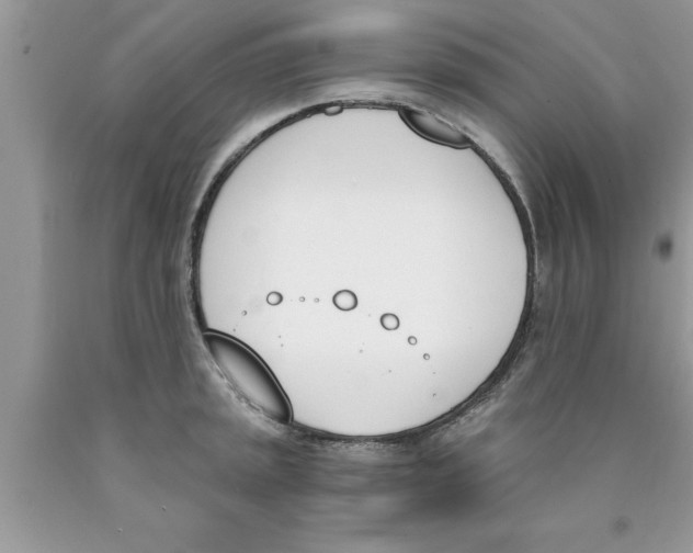 X0000089851045200707262103