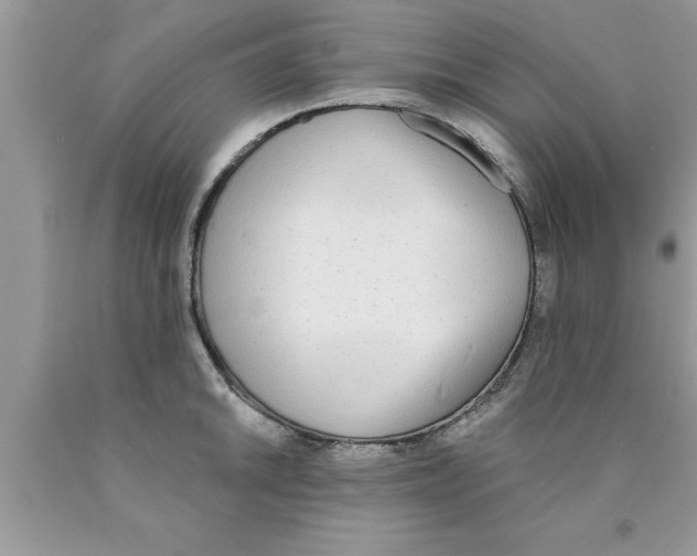 X0000089851046200707262103