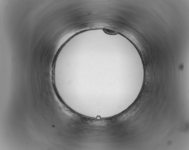 X0000089851047200707262104