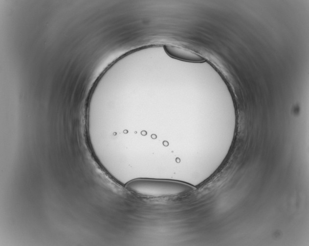 X0000089851048200707262104