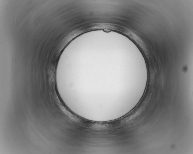 X0000089851049200707262104