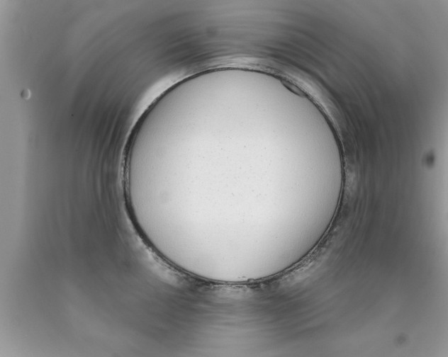 X0000089851050200707262104