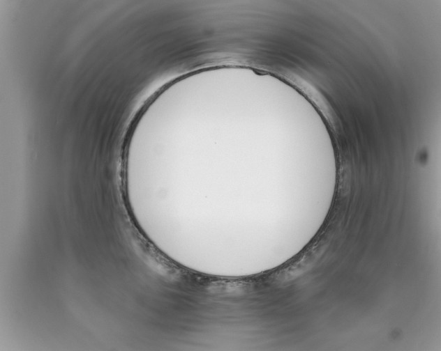 X0000089851051200707262104