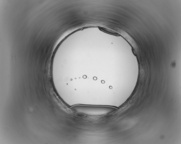 X0000089851052200707262104