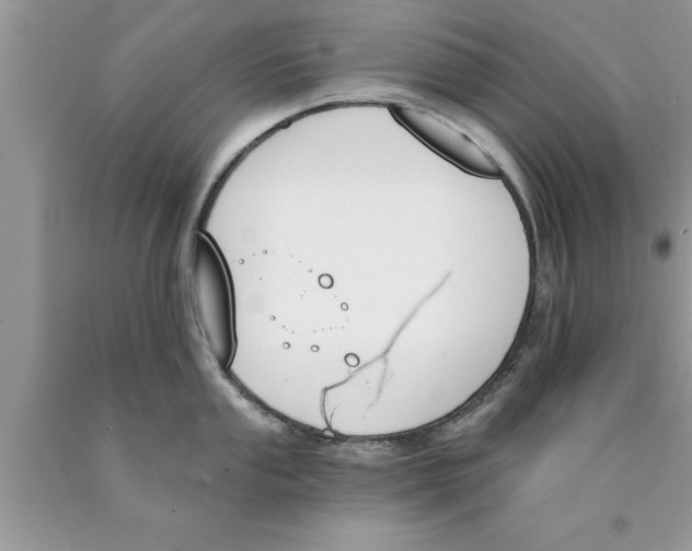 X0000089851053200707262104