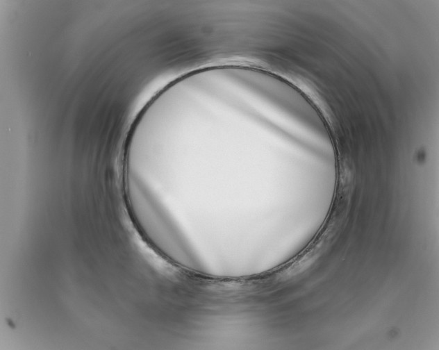 X0000089851054200707262104