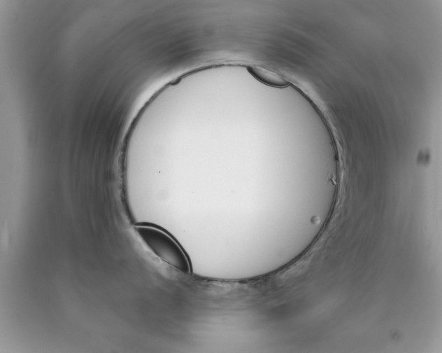 X0000089851056200707262104