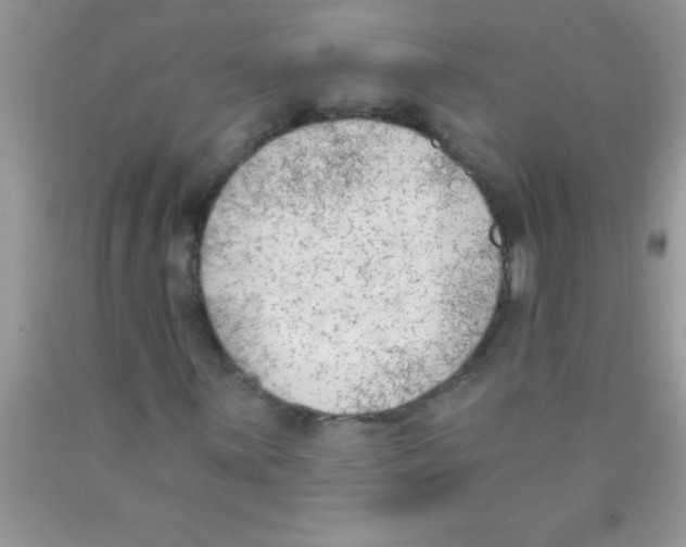 X0000089851059200707262103