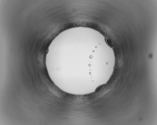 X0000089851060200707262103