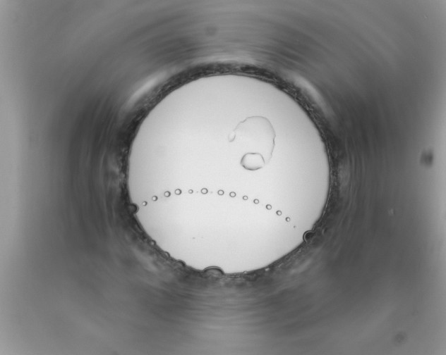 X0000089851064200707262103