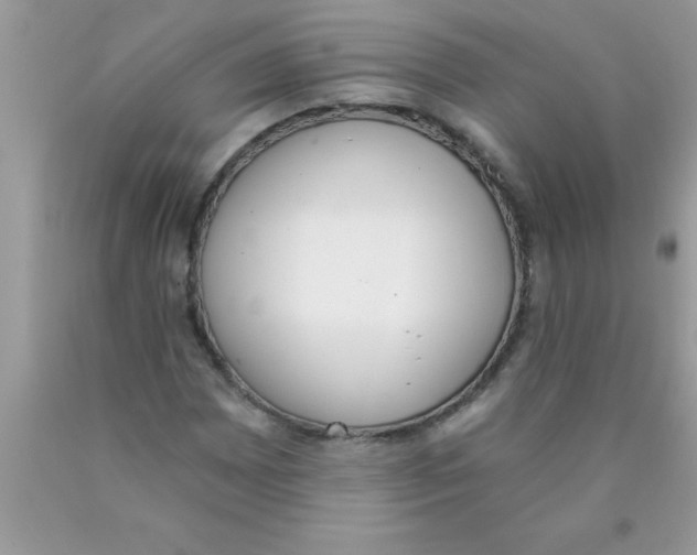 X0000089851065200707262103