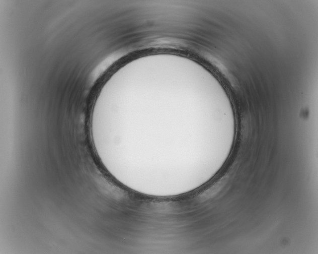 X0000089851066200707262103