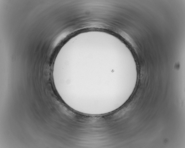 X0000089851067200707262103