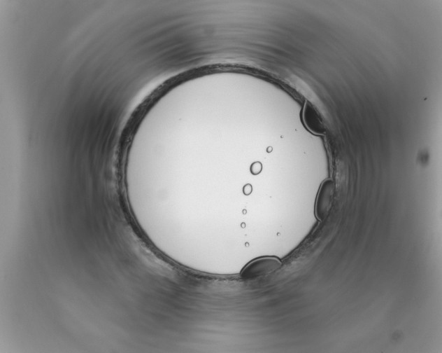 X0000089851068200707262103