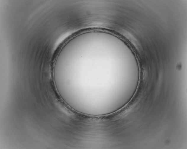 X0000089851069200707262103