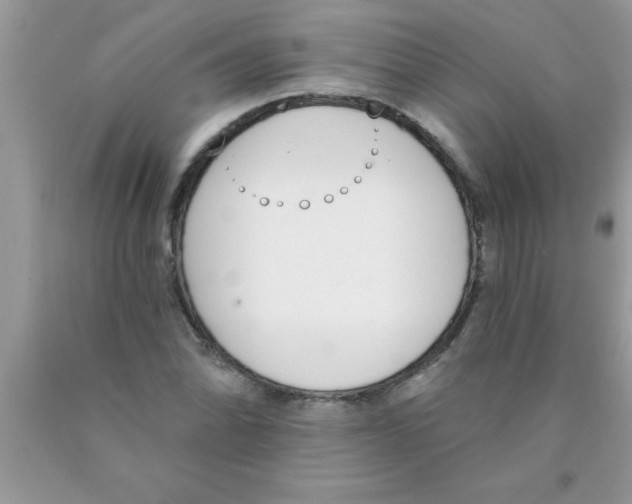 X0000089851070200707262103