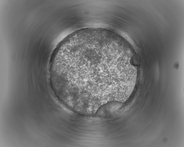 X0000089851071200707262103