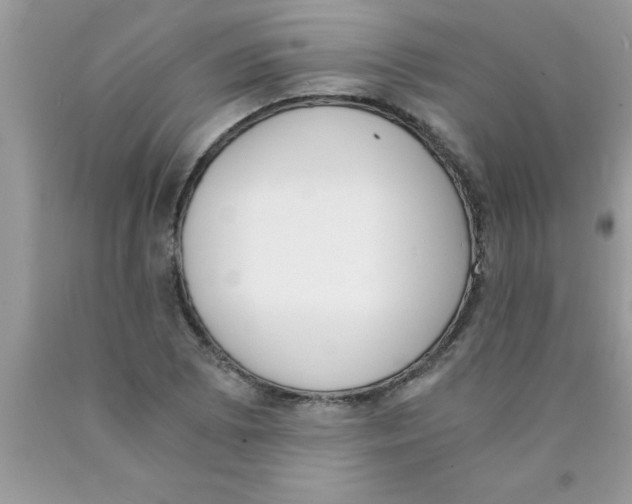 X0000089851073200707262103