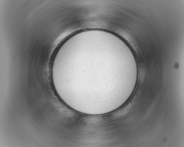 X0000089851074200707262103