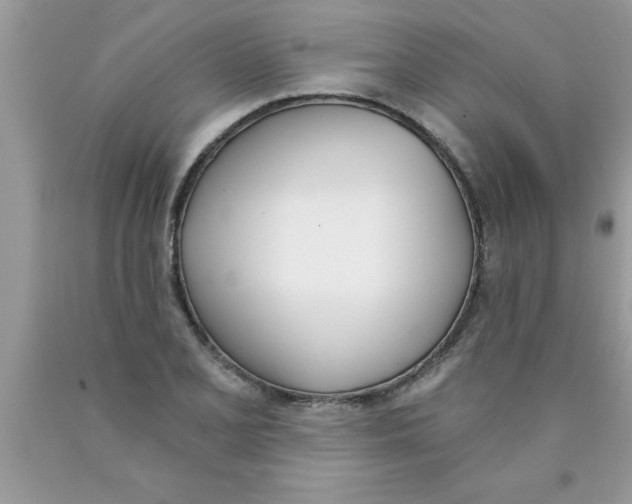 X0000089851077200707262103