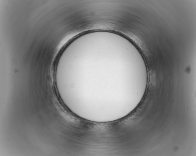 X0000089851078200707262103