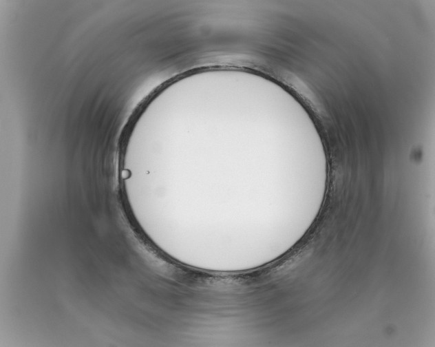 X0000089851079200707262103