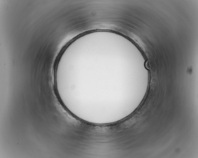 X0000089851080200707262103